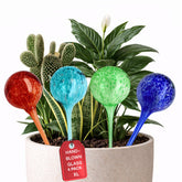 JORVEN premium watering globes in glass bulbs for steady hydration of indoor plants
