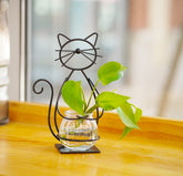 Joyathome desktop glass planter with cat frame for stylish desk plant display