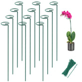 Joyhalo plant stakes with ring design stabilize stems for healthy growth.