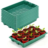 JoyHalo seed-starter tray 10-pack with no-drain-holes for mess-free seed starting.