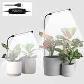 Juhefa Grow Light with 6000K full spectrum for vibrant indoor seedlings.