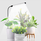 Juhefa grow light 6000K full spectrum for seedling and herb growth