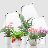 Juhefa Grow Light full spectrum with 120 white and 24 red bulbs for strong seedling growth