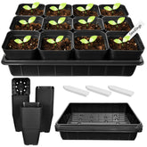 June Fox 4 inch nursery pot with drainage holes for healthy roots.