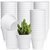 June Fox 60-pack 4-inch pots with drainage holes for healthy root care
