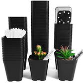 June Fox 4-inch seedling pot with drainage holes for healthy young plants.