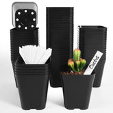 June Fox seedling pot 4-inch square black with drainage holes for healthy seedlings.