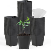 June Fox square nursery pots with 3.3-inch opening for easy transplanting.