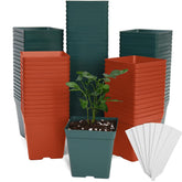 June Fox square nursery pot front view, 3.3-inch opening, ideal for seedlings.