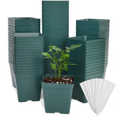 June Fox green square nursery pots with labels, a complete seedling starter set.