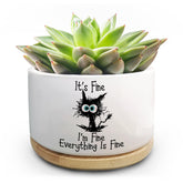 Jutasty funny cat pot for succulents on a shelf with drainage