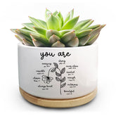 Jutasty succulent pot in white ceramic, ideal for desks.