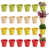 Juvale mini plastic pot with drainage holes for healthy root growth