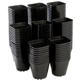Juvale square nursery pot with drainage holes for healthy seed starting.