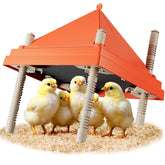 JXJHOVV Chick Brooder Plate 10x10 provides gentle warmth for up to 15 chicks.