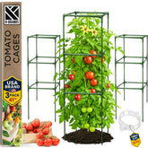K-Brands Tomato Cage Square 41-inch tall provides sturdy support for climbing vegetables.