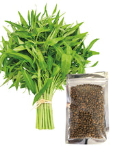 Kangkong seeds packaging close-up for reliable germination planning.