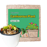 Kapecute carnivorous plant soil 2qt package ready for moist potting and easy use