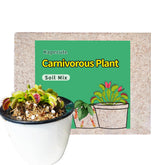 Kapecute 3 Qt carnivorous plant soil mix bag, front view, moisture-retention friendly.