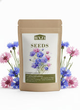 KCT GARDEN cornflower seeds pack for lush blue blooms in sunny borders.