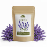 KCT GARDEN lavender seeds pack front for vibrant blooms