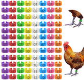 Keedolla eight-color leg rings shown for quick flock tagging