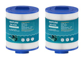 KEE PURE pas50sv-f2m two-pack filter front view for Artesian Spas.