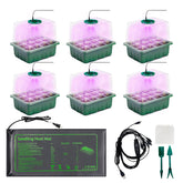 KEOHOLI seed starter kit with LED trays boosts seedling growth in small spaces