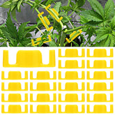 Keymarx 40-pack LST clips for improved canopy management and airflow.