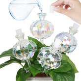 KGCCIZI self-watering globe rainbow cactus shape for effortless hydration while away.