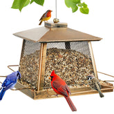 KIMCHOMERSE large bird feeder with gazebo roof, front view, inviting cardinals and chickadees.