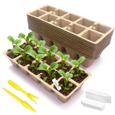 Kimdooze 120-cell seed starter tray ready for seeds, showcasing dense layout for efficient germination.