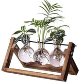 Kingbuy terrarium on a retro wooden stand enhances rustic home decor.