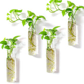 Kingbuy wall-mounted terrarium with four glass tubes for stylish hydroponics.