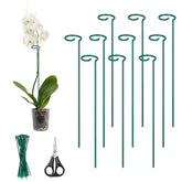Kingsyard 16-inch plant stake with open-ring design supports upright growth.