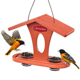 Kingsyard bird feeder outdoors with orange finish attracts orioles and enhances garden décor.
