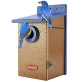 Kingsyard bird house with blue-brown clear view panel for easy monitoring of nests.