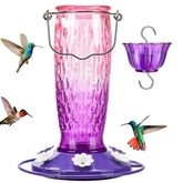 Kingsyard hummingbird feeder with ant moat protecting nectar outdoors.