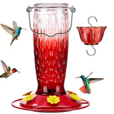 Kingsyard hummingbird feeder gradient glass front view attracts nectar-loving birds