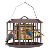 Kingsyard Squirrel Proof Cage lets small birds feed safely while deterring larger rodents