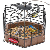 Kingsyard Squirrel-Proof Platform Feeder cover shields small birds from squirrels.