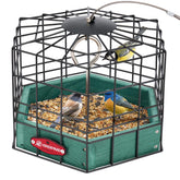 Kingsyard squirrel-proof platform feeder with metal mesh cover for small wild birds.