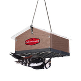 Kingsyard upside-down double suet feeder front view highlighting woodpecker access.