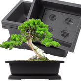 Kinjoek 3-pack 14 inch bonsai pots with drainage trays for easy indoor display.