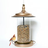 KiRuan Deco locking-lid bird feeder deters squirrels and secures seeds.