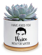 KISJO water pot with humorous text on a desk-ready planter.