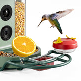 Kiwibit Beako mini hummingbird feeder with dual ports attracts hummingbirds.