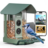 Kiwibit smart bird feeder 4K camera front view for immersive backyard birdwatching.