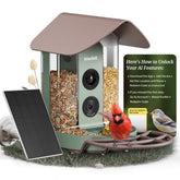 Kiwibit Smart Bird Feeder 4K camera captures crisp wildlife footage for backyard birding.