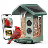 Kiwibit Solar Bird Feeder Camera front view captures visiting birds in 4K